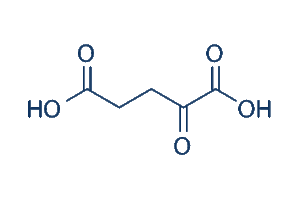 El Alpha-Ketoglutarate