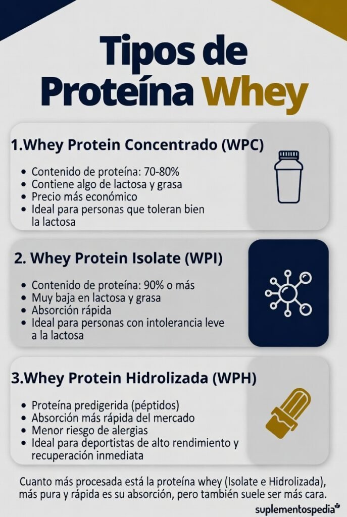 Proteína Whey Guía Completa — Concentrado, Aislado e Hidrolizado Proteína Whey Guía Completa — Concentrado, Aislado e Hidrolizado